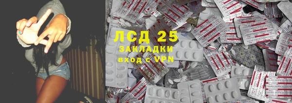 спиды Верея