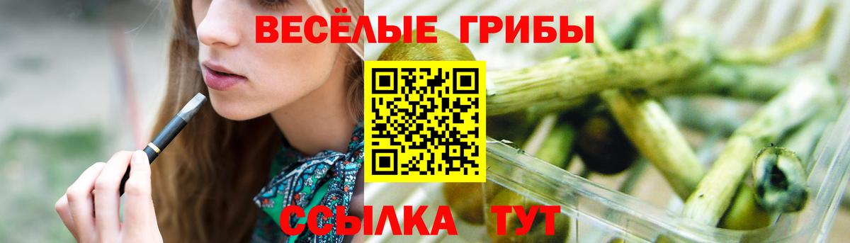Псилоцибиновые грибы GOLDEN TEACHER Рузаевка